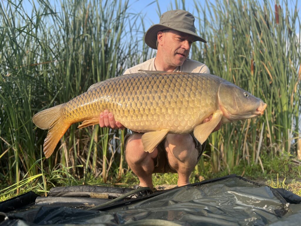 Trophy carp landed during a fishing session on Last Mountain Lake