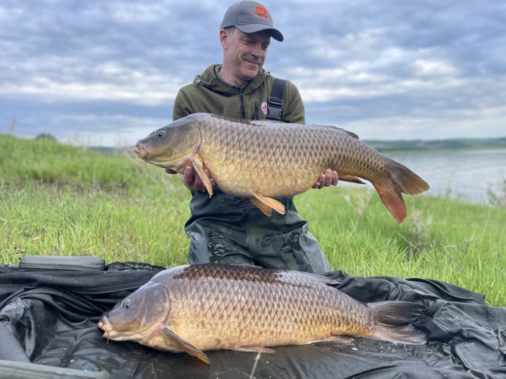 Successful carp fishing session on Last Mountain Lake